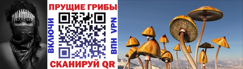 Галлюциногенные грибы прущие грибы  blacksprut онион  Болгар 